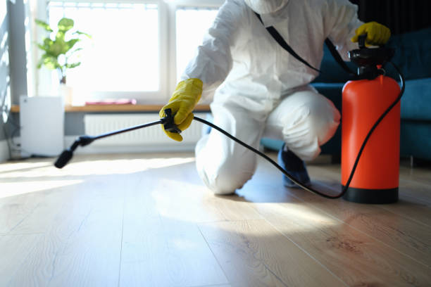 Reliable Odor Removal contractor in Prairie Du Rocher, IL by Trauma Clean Pros